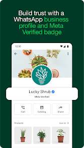 WhatsApp Business 1